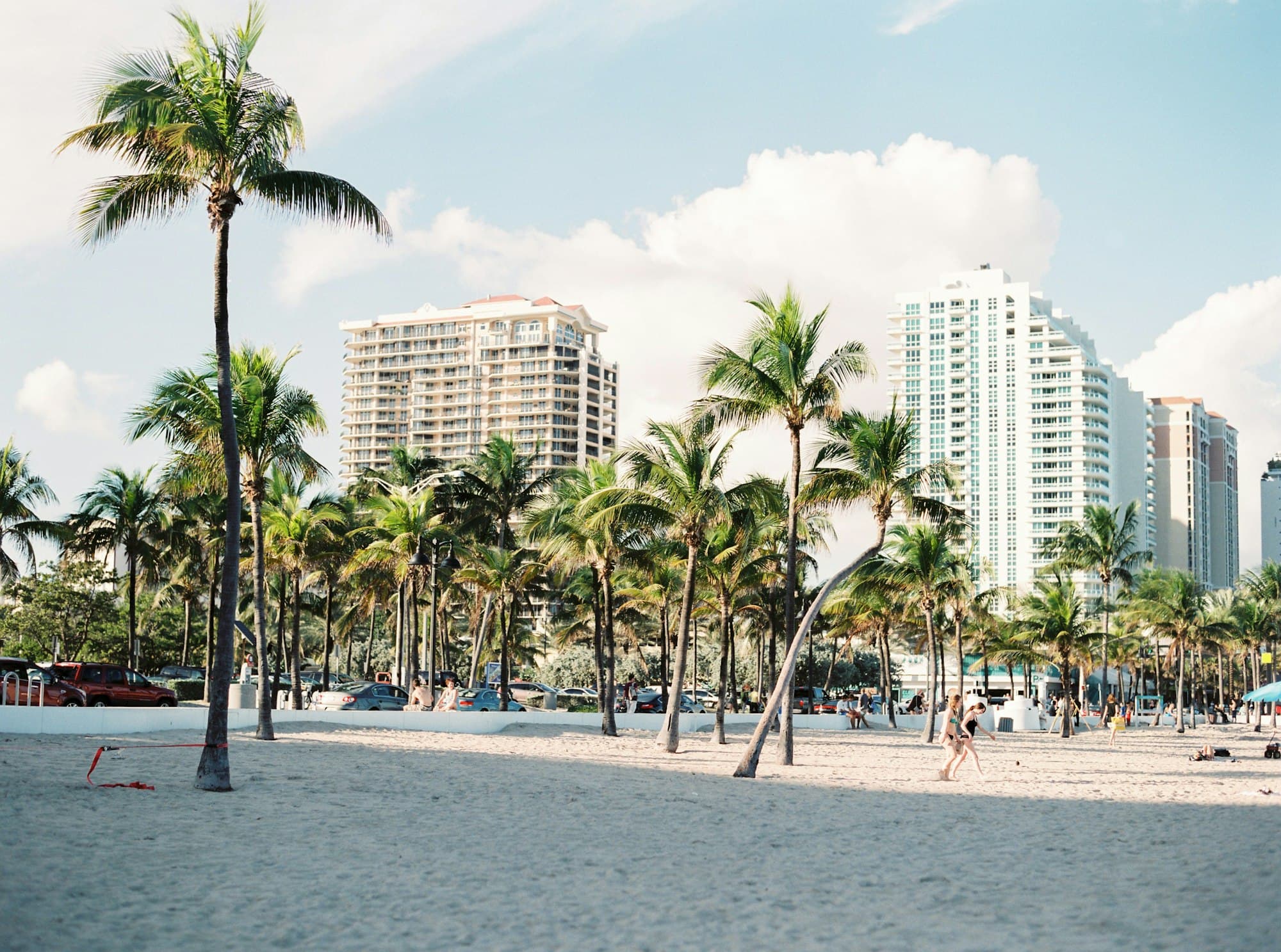 Palm trees and beachfront high-rises in Miami Beach